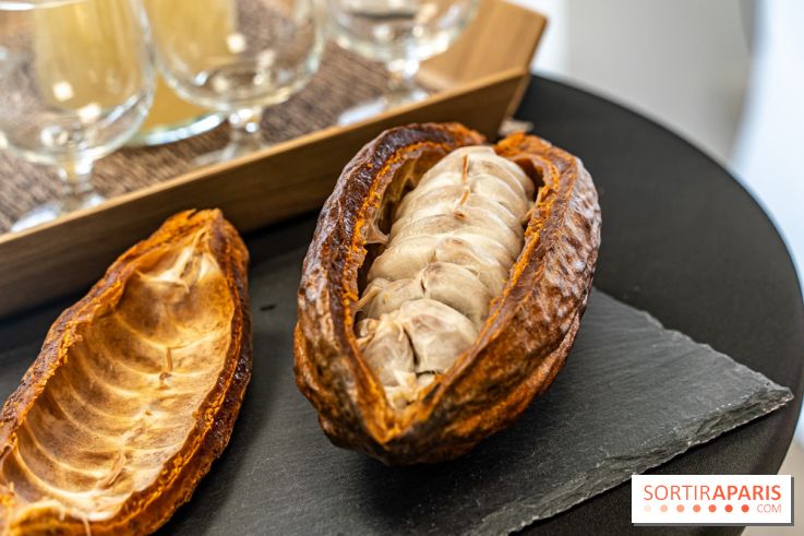 Läderach Opéra, la boutique de chocolats suisse