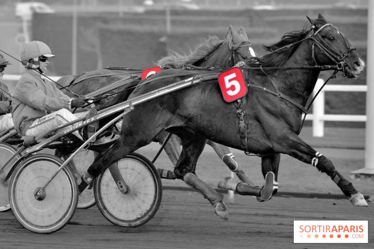 Les Courses spectacle de l'Hippodrome Paris-Vincennes