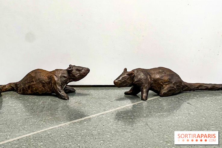 Exposition de Nina Jayasuriya chez Sisley - image00014