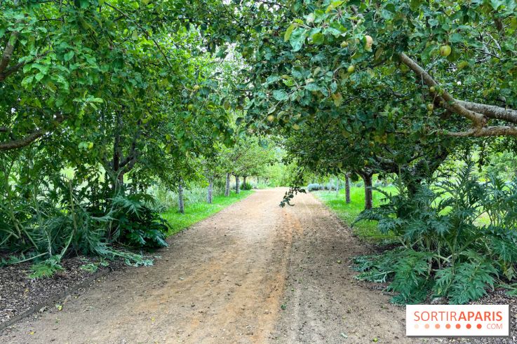 Potager-Fruitier de la Roche Guyon - nos photos - image00031