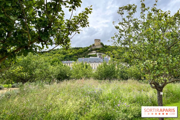 Potager-Fruitier de la Roche Guyon - nos photos - image00027