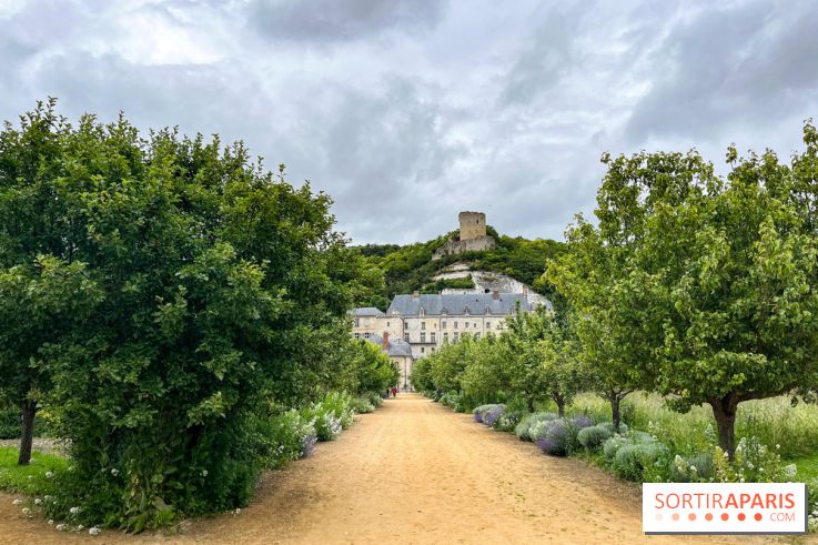 Potager-Fruitier de la Roche Guyon - nos photos - image00025