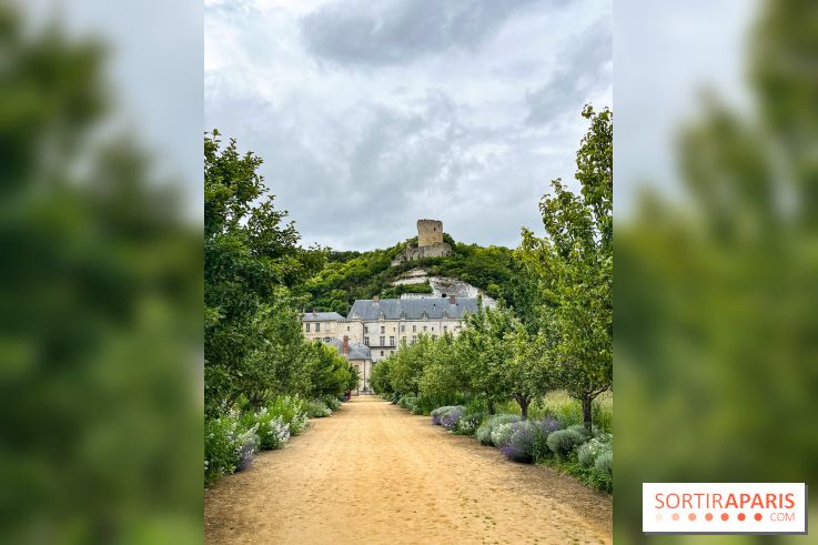 Potager-Fruitier de la Roche Guyon - nos photos - image00023