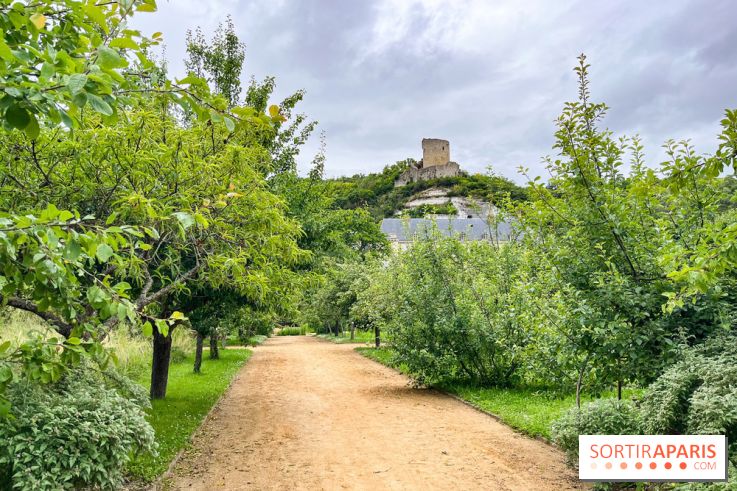 Potager-Fruitier de la Roche Guyon - nos photos - image00020