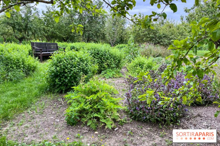 Potager-Fruitier de la Roche Guyon - nos photos - image00017