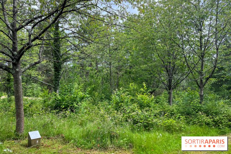 Arboretum de la Roche-Guyon - nos photos - image00015