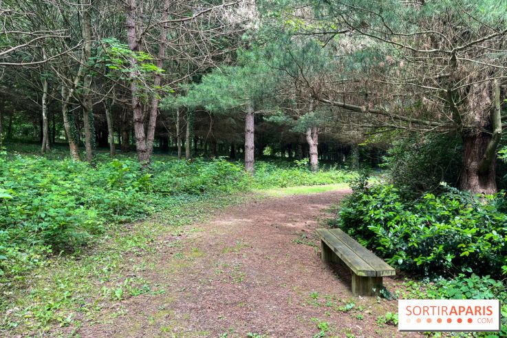 Arboretum de la Roche-Guyon - nos photos - image00016