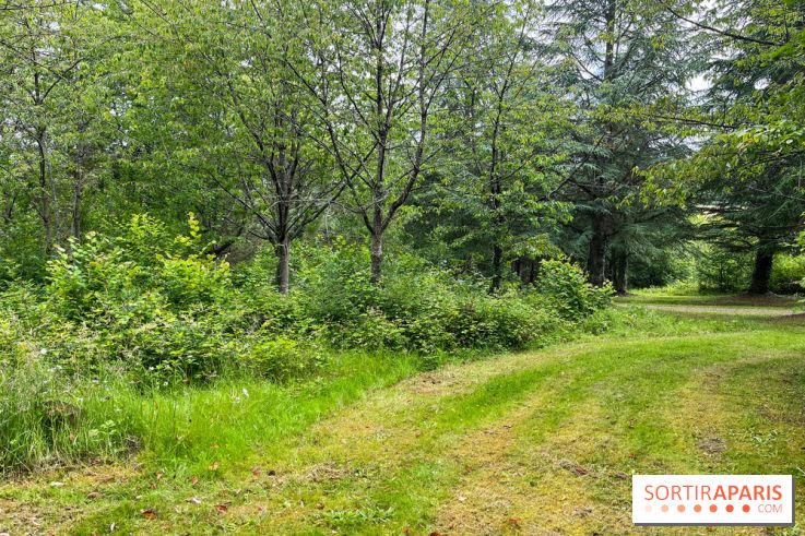 Arboretum de la Roche-Guyon - nos photos - image00012