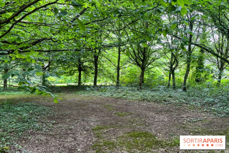 Arboretum de la Roche-Guyon - nos photos - image00013