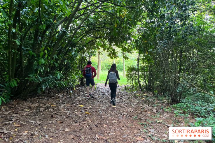 Arboretum de la Roche-Guyon - nos photos - image00014