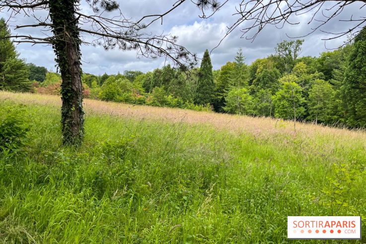 Arboretum de la Roche-Guyon - nos photos - image00010