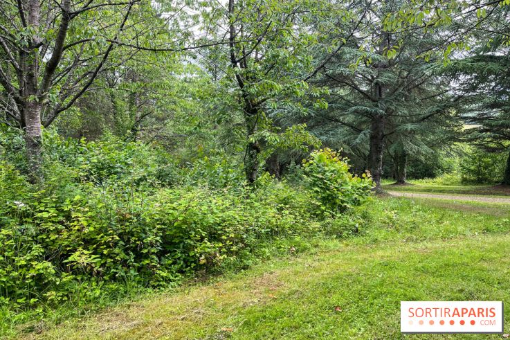 Arboretum de la Roche-Guyon - nos photos