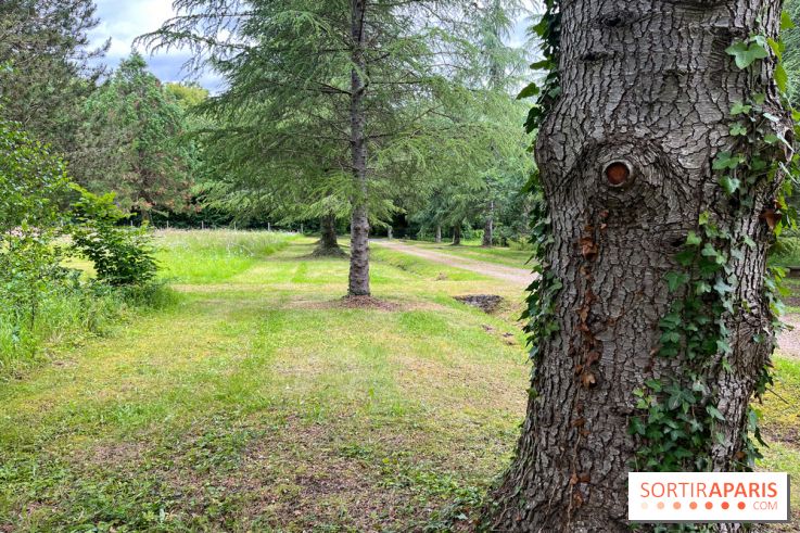Arboretum de la Roche-Guyon - nos photos