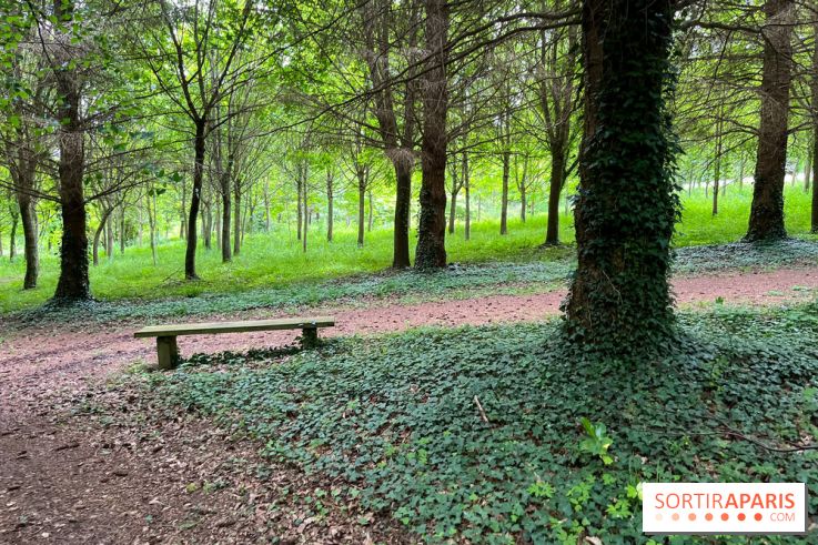 Arboretum de la Roche-Guyon - nos photos - image00003
