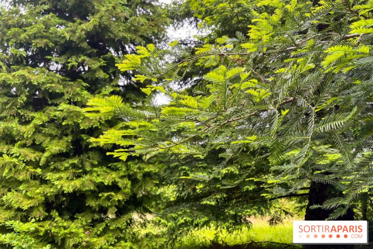 Arboretum de la Roche-Guyon - nos photos