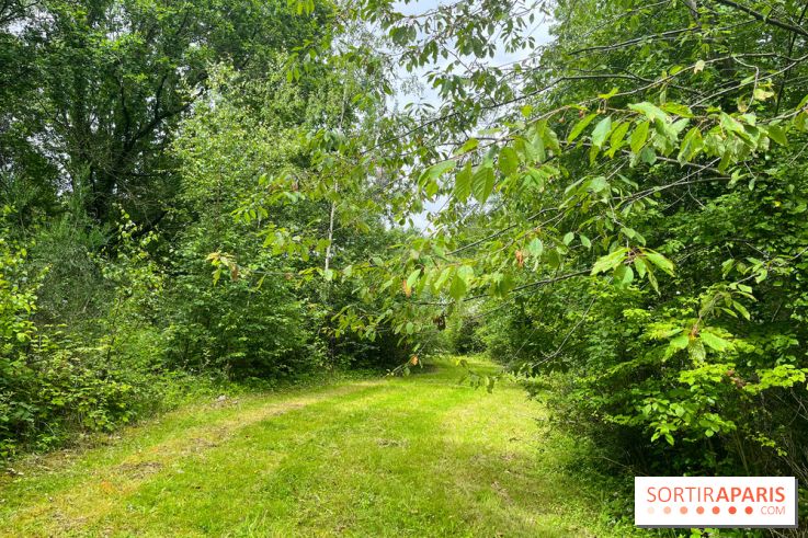 Arboretum de la Roche-Guyon - nos photos - image00002