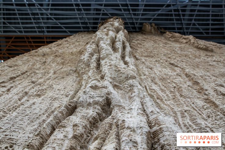 Ligne 14 : révélation de la gare Hôpital Bicêtre - IMG 5312