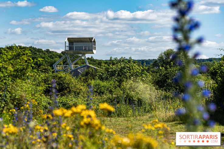 Le Parc du peuple de l'herbe dans les Yvelines - Étang de Galiotte - Carrières-sous-Poissy -  A7C7472