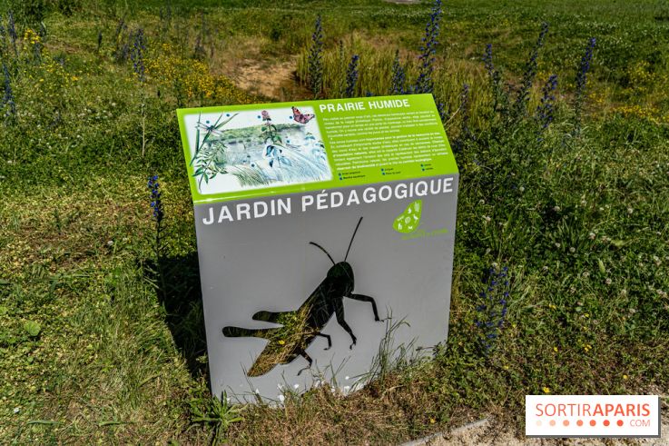 Le Parc du peuple de l'herbe dans les Yvelines - Étang de Galiotte - Carrières-sous-Poissy -  A7C7480