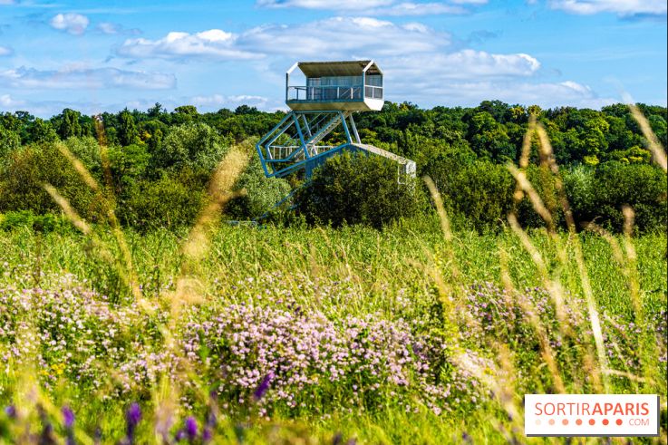 Le Parc du peuple de l'herbe dans les Yvelines - Étang de Galiotte - Carrières-sous-Poissy