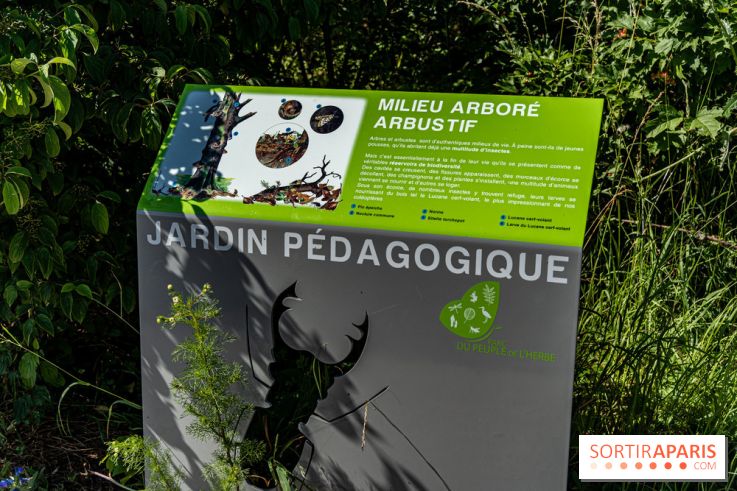 Le Parc du peuple de l'herbe dans les Yvelines - Étang de Galiotte - Carrières-sous-Poissy