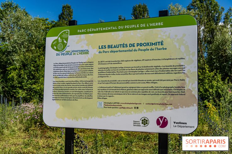 Le Parc du peuple de l'herbe dans les Yvelines - Étang de Galiotte - Carrières-sous-Poissy