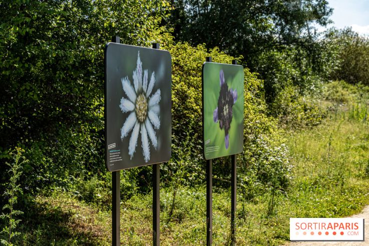 Le Parc du peuple de l'herbe dans les Yvelines - Étang de Galiotte - Carrières-sous-Poissy