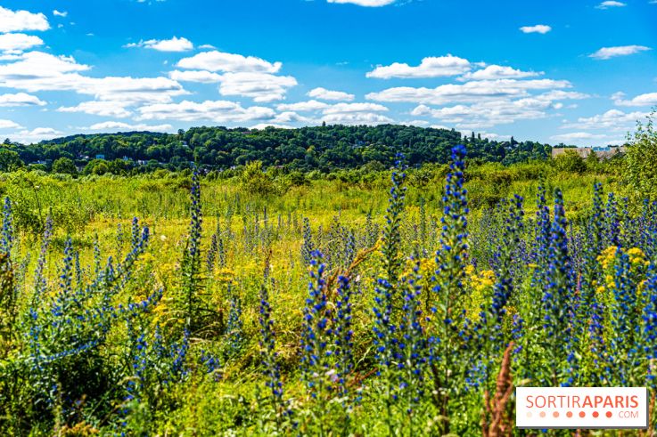 Le Parc du peuple de l'herbe dans les Yvelines - Étang de Galiotte - Carrières-sous-Poissy