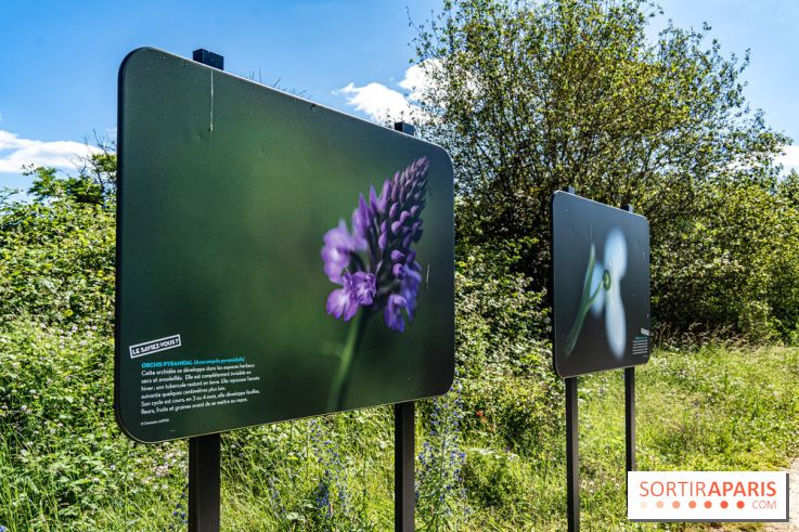 Le Parc du peuple de l'herbe dans les Yvelines - Étang de Galiotte - Carrières-sous-Poissy