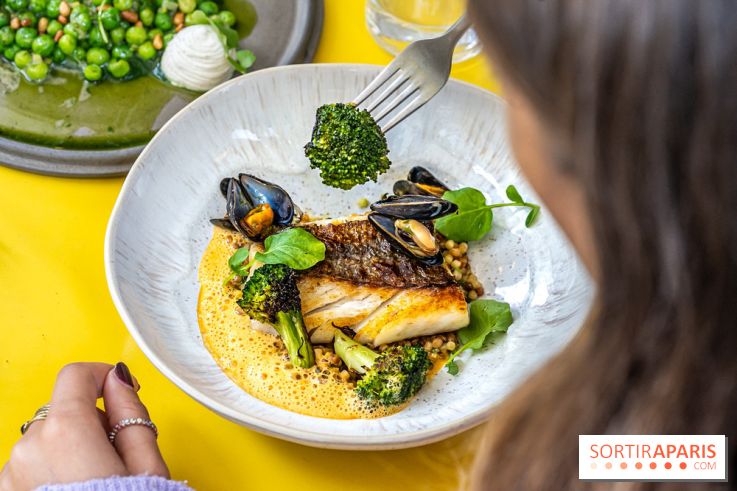 Belle Maison, Bistrot iodé, restaurant de poissons et fruits de mer Paris 9 - merlu crustacés et brocoli