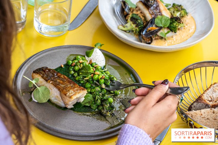 Belle Maison, Bistrot iodé, restaurant de poissons et fruits de mer Paris 9