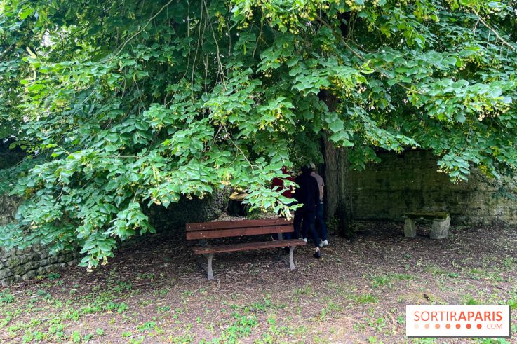 Le Jardin du Yoga à la Roche-Guyon - nos photos - image00005