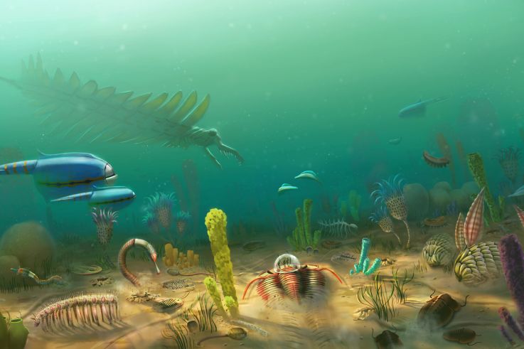 Campagne #33483 - Mondes Disparus Concept Art 2 Cambrien © Excurio MNHN