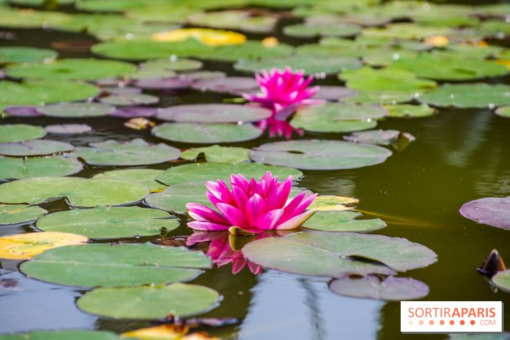 Hellfest 2024 - jeudi 27 juin, nos photos - IMGP3307