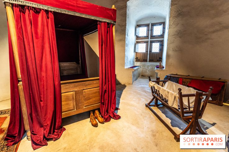 Lumières de Blandy : l'héritage des vicomtes, le spectacle sons et lumières -  A7C7959