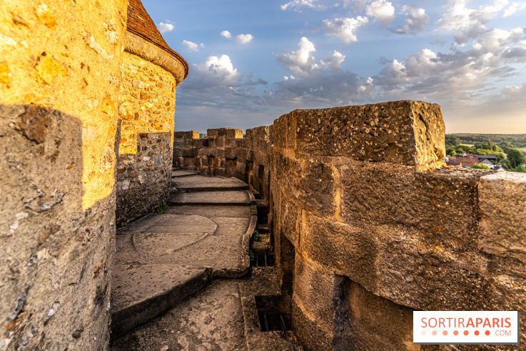 Lumières de Blandy : l'héritage des vicomtes, le spectacle sons et lumières -  A7C7965