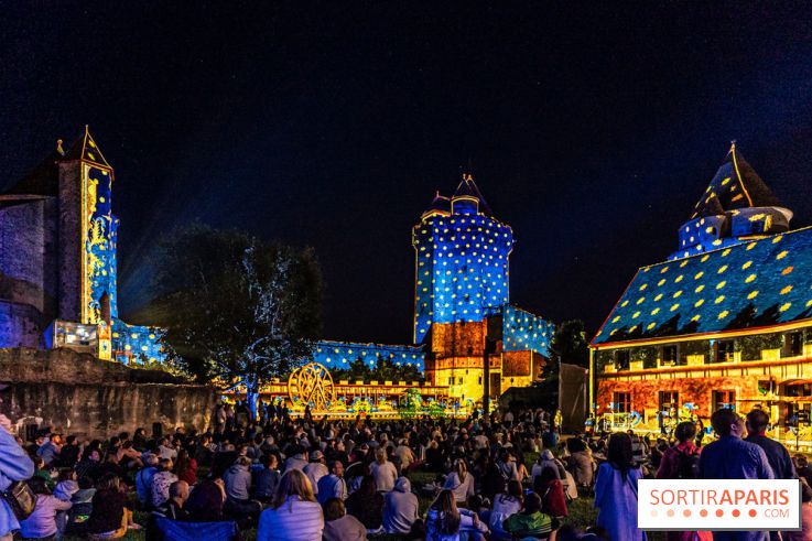 Lumières de Blandy : l'héritage des vicomtes, le spectacle sons et lumières