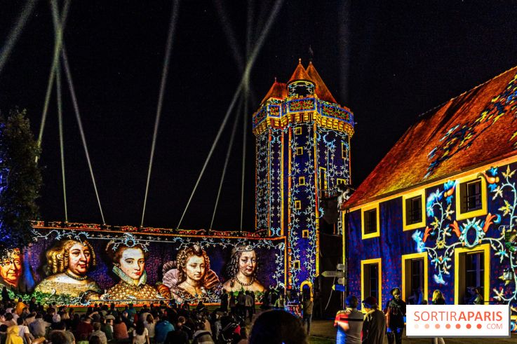 Lumières de Blandy : l'héritage des vicomtes, le spectacle sons et lumières -  A7C8178