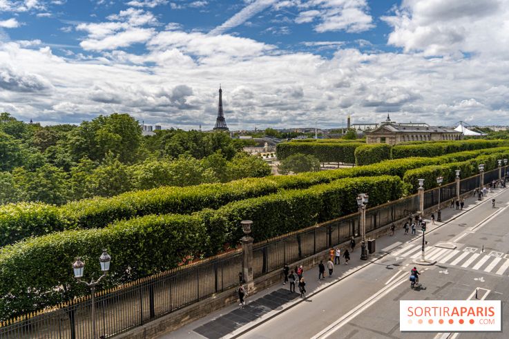 Hôtel Westin Paris Vendôme - les photos