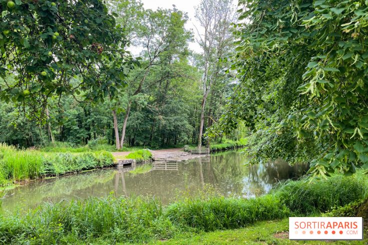 Domaine de Chamarande - nos photos - image00022