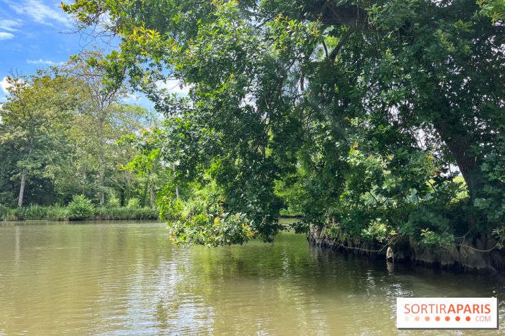 Domaine de Chamarande - nos photos - image00001