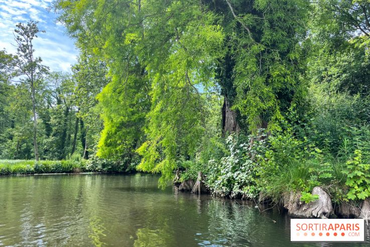 Domaine de Chamarande - nos photos - image00005