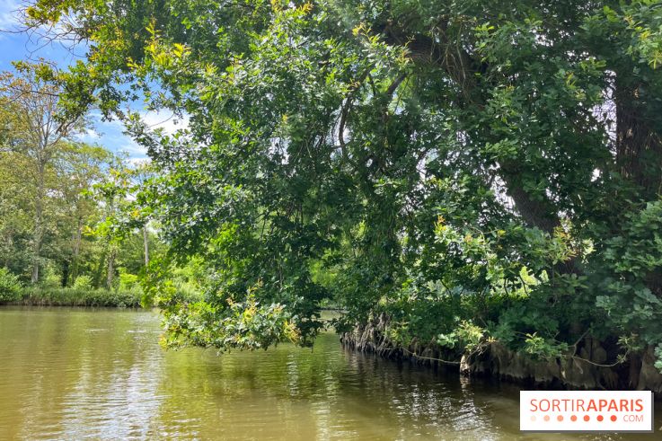 Domaine de Chamarande - nos photos - image00007