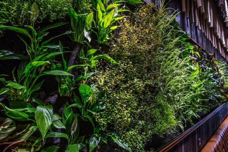 Campagne #33556 - AZ4I9018 2