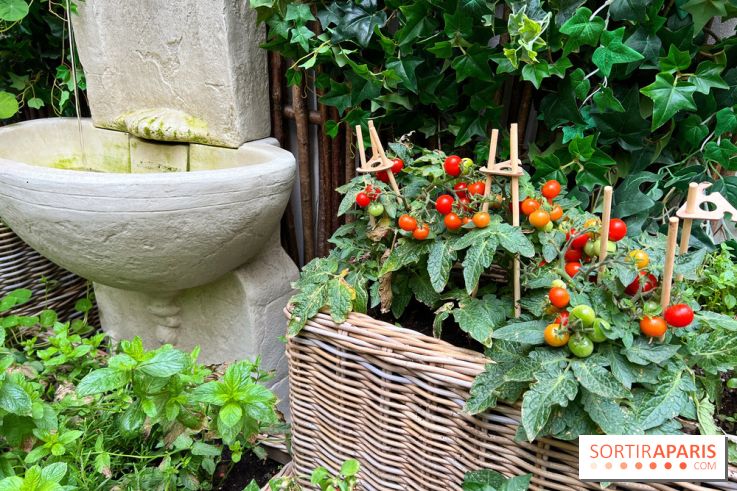 Le Potager, Roch Hotel & Spa - Potager