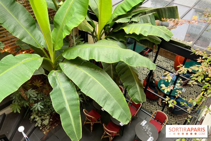 Le Potager, Roch Hotel & Spa - Terrasse patio verdoyant