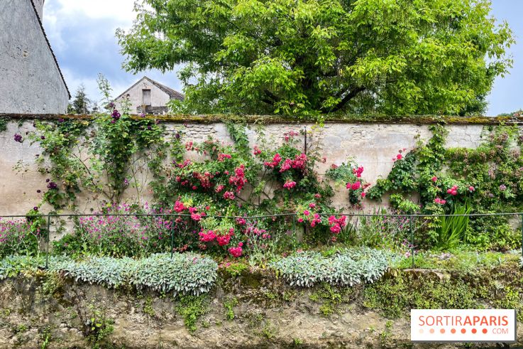 Crécy-la-Chappelle - nos photos - image00056