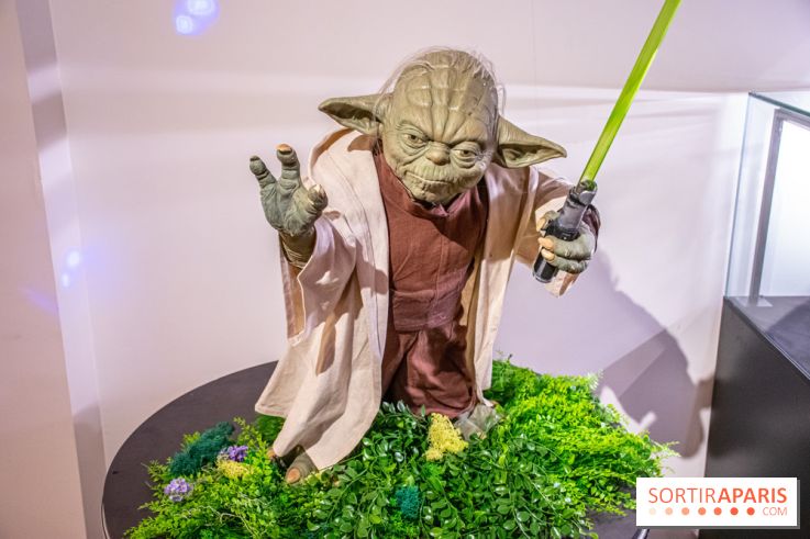 Star Wars : Fans of the Galaxy, l'expo à découvrir dans une galaxie lointaine, très lointaine - DSC 0871