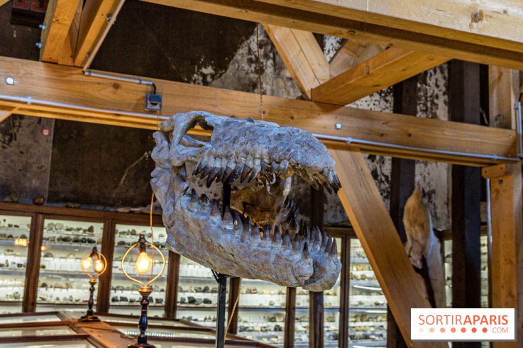 Un dinosaure géant au Château de Dampierre - Jurassique au Château de Dampierre