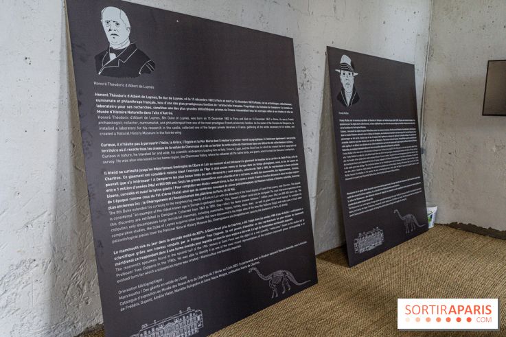 Un dinosaure géant au Château de Dampierre - Jurassique au Château de Dampierre -  A7C8904